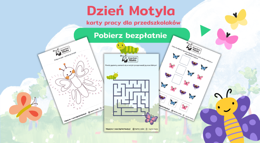 Karty pracy na Dzień Motyla do pobrania Kapitan Nauka